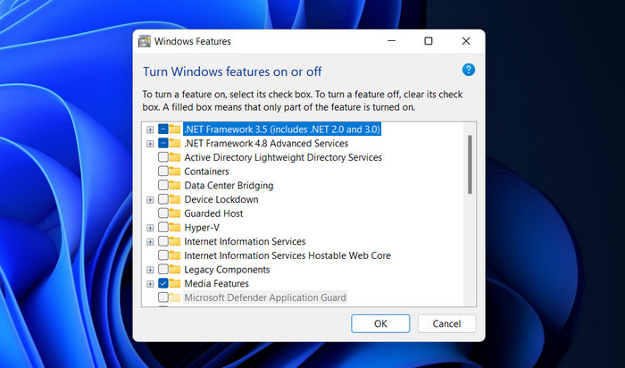 Checking .NET related options in Windows Features. 