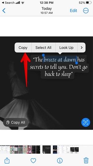 Iphone Copy Text Screenshot