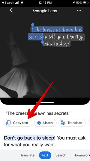 Iphone Google App Copy Text