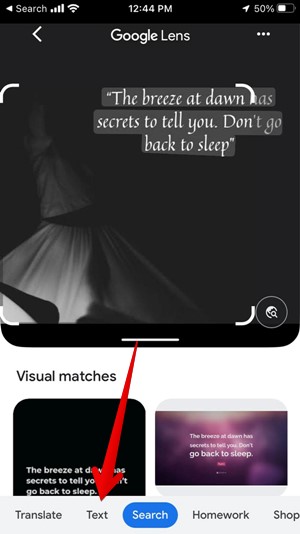 Iphone Google App Extract Text