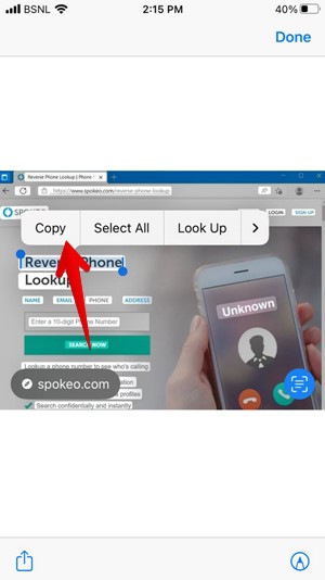 Iphone Safari Picture Copy Text