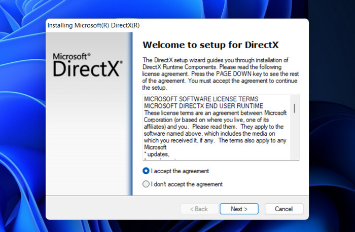 DirectX installation screen. 