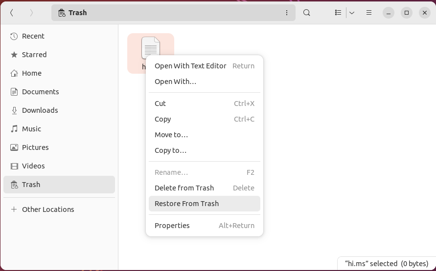 A window showing the Restore prompt in Linux.