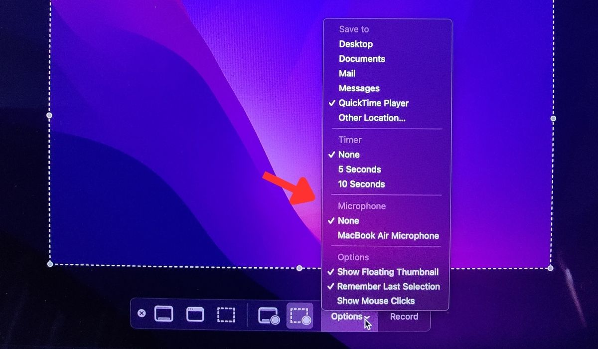 Mic Settings Quicktime