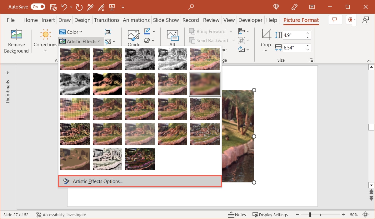 Artistic Effects Options in PowerPoint