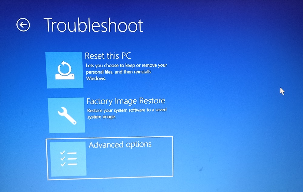 Clicking on "Advanced options" under "Troubleshoot."