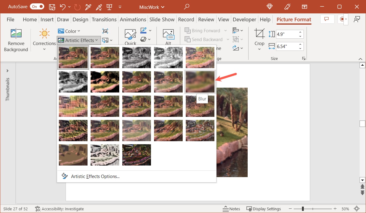 Blur in the Artistic Effects on the Picture Format tab