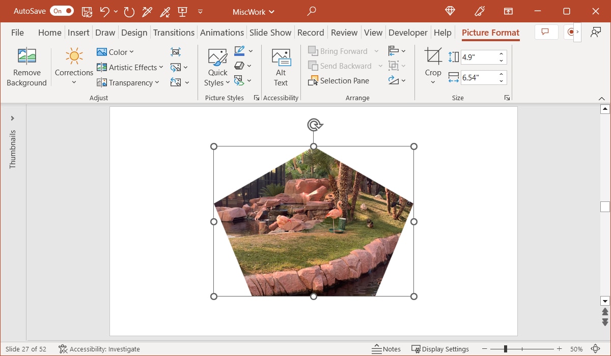 Image cropped to a shape in PowerPoint