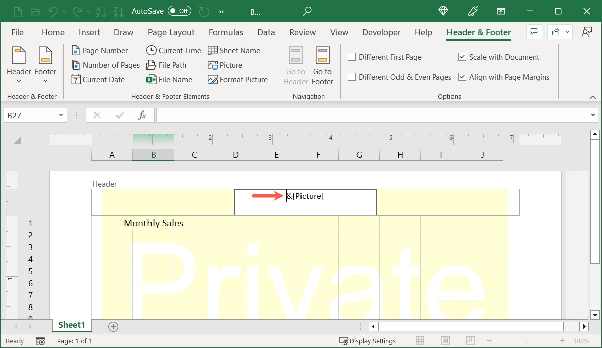 Cursor in front of the Picture control