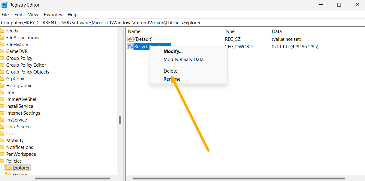 Deleting "RecycleBinDrive" key via Registry Editor. 