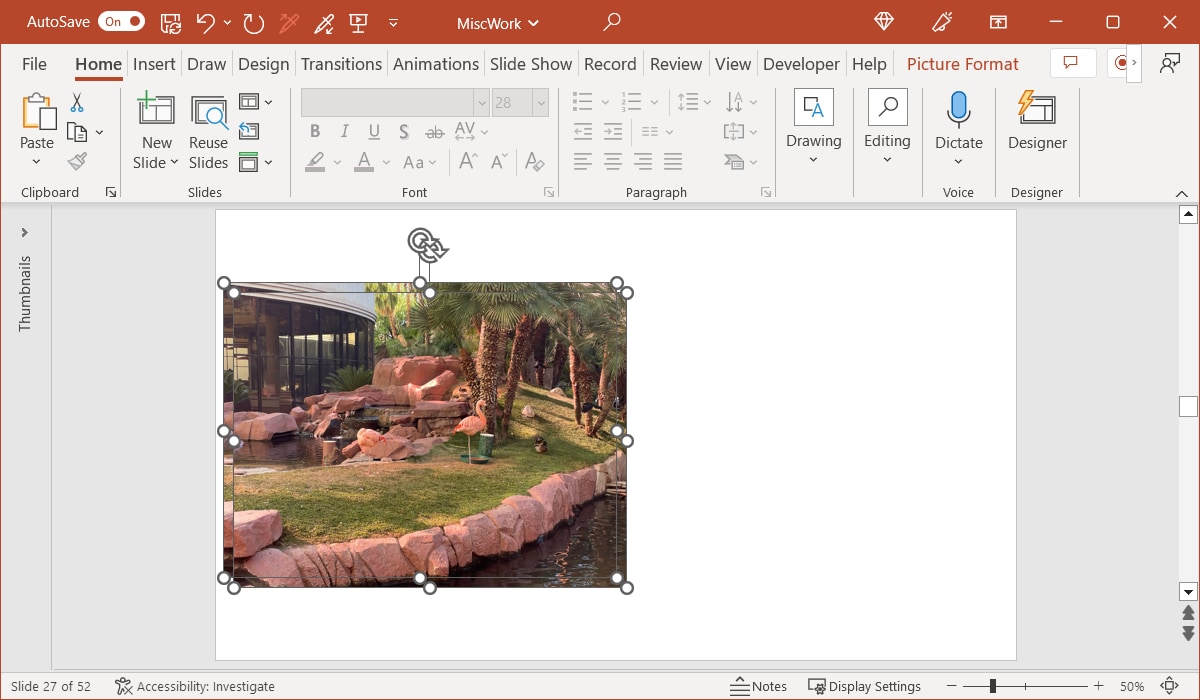 Duplicated an image in PowerPoint