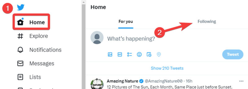 Go To Following From Twitter Home