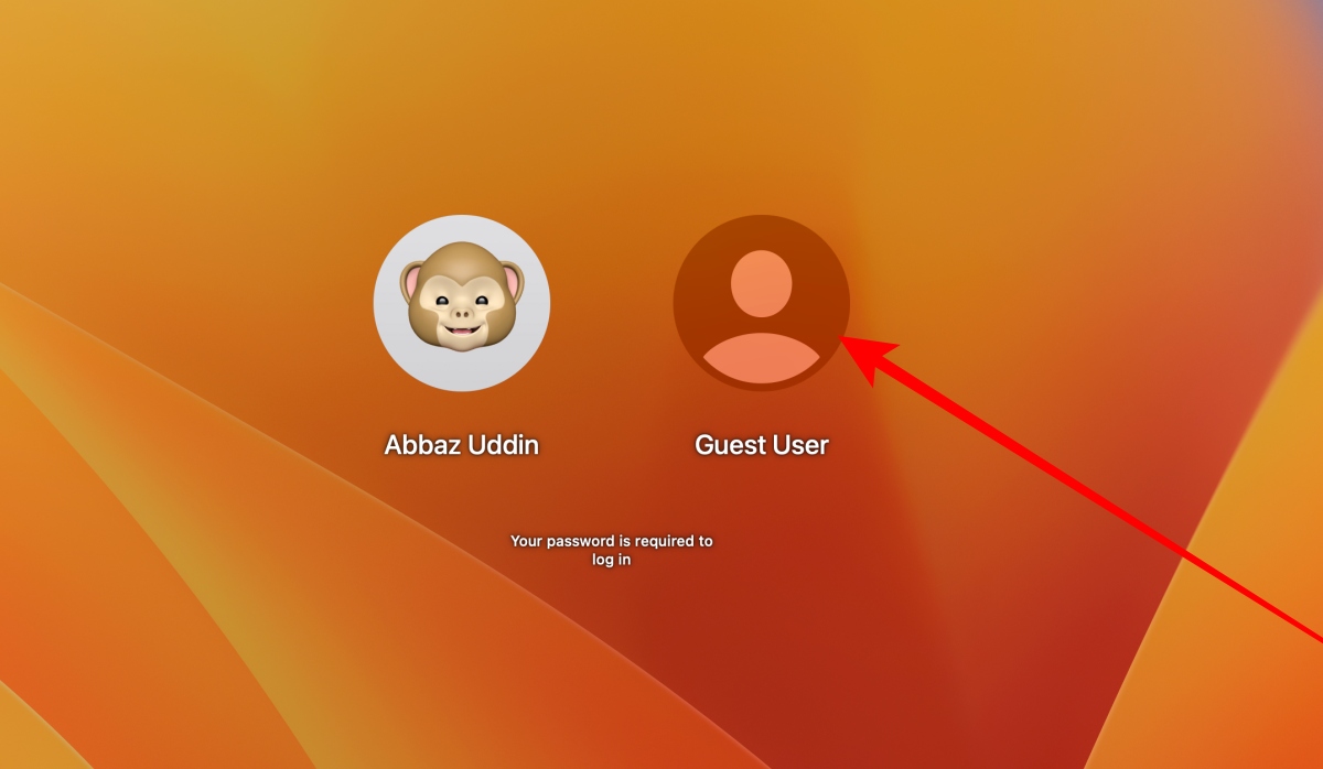 Guest Account Login Icon