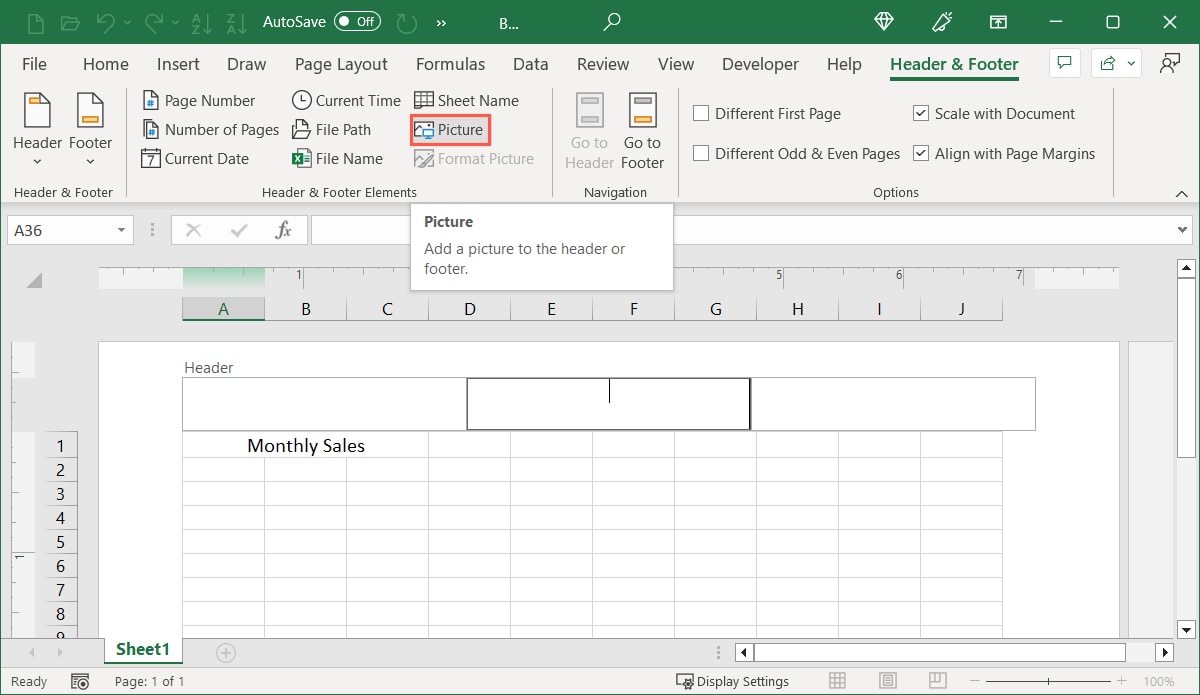 Picture on the Header and Footer tab