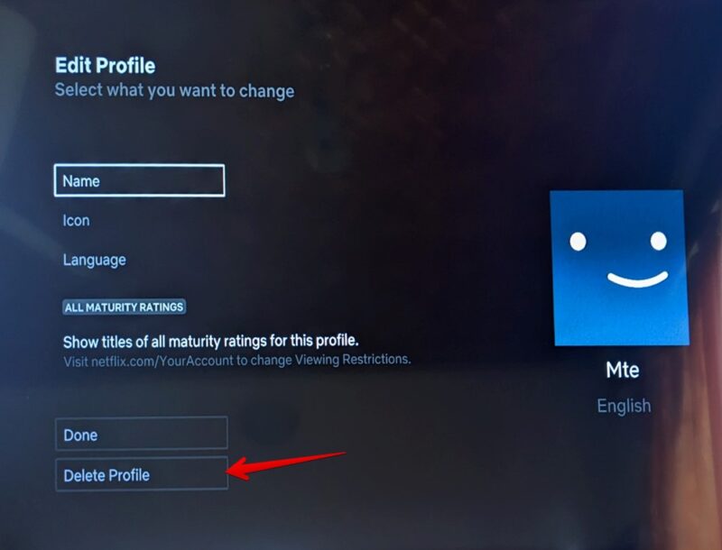 Netflix Tv Delete Profile