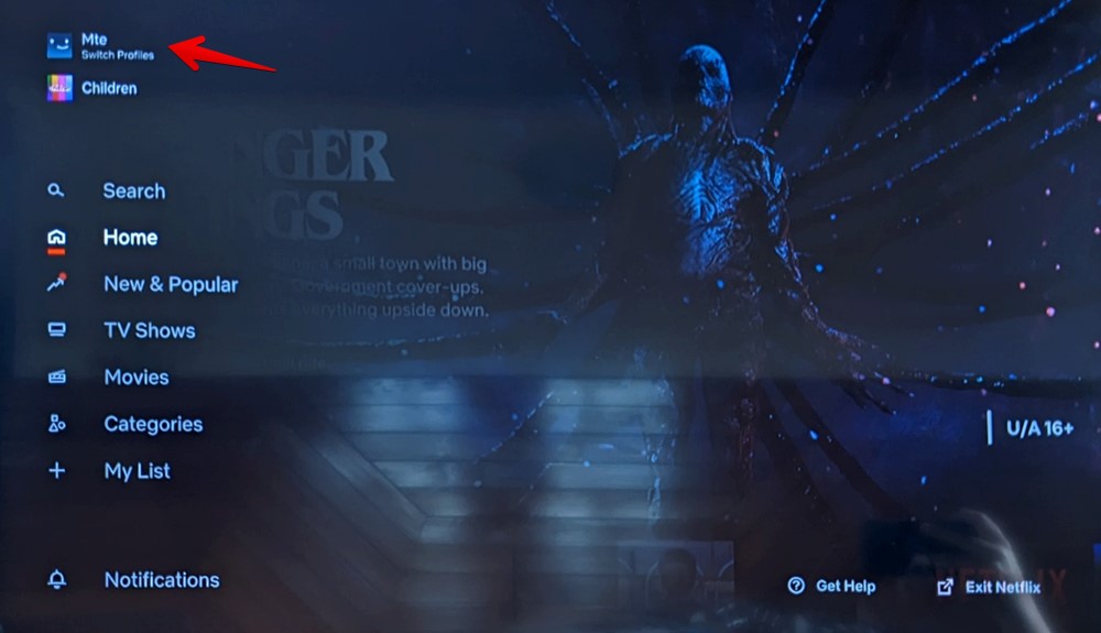 Netflix Tv Profile Menu