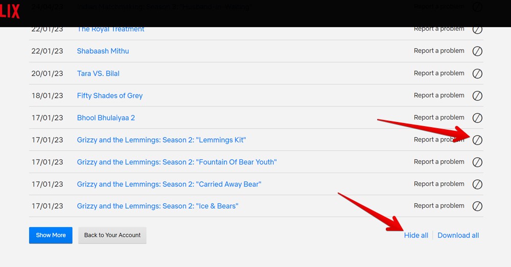 Netflix Website Hide History