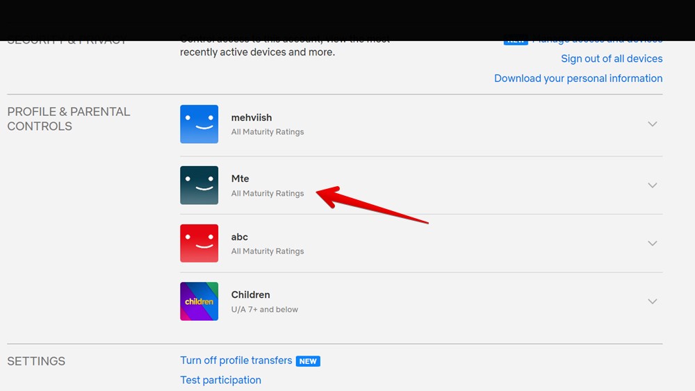 Netflix Website Profile Settings