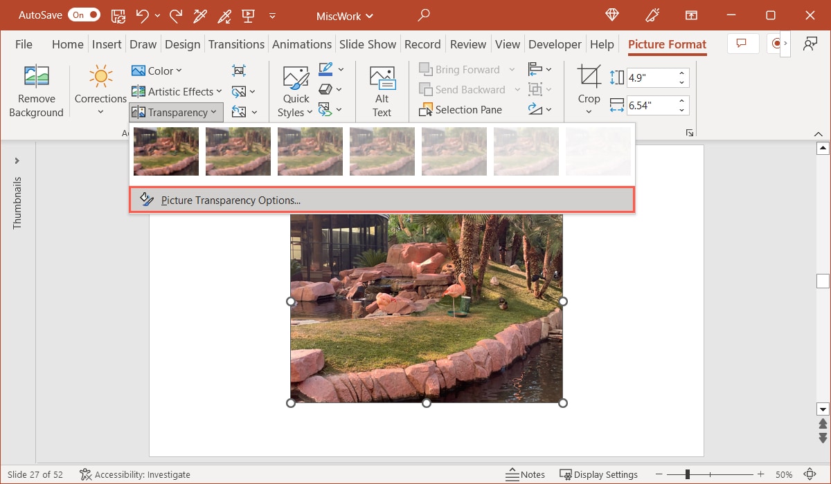 Picture Transparency Options in PowerPoint