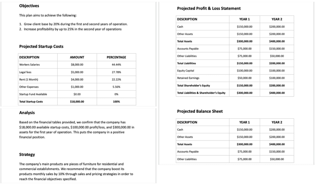 Project Financial Plan template