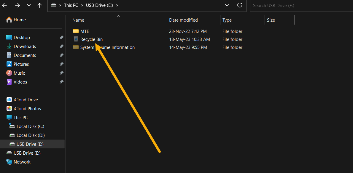 Viewing Recycle Bin folder in removable drive. 
