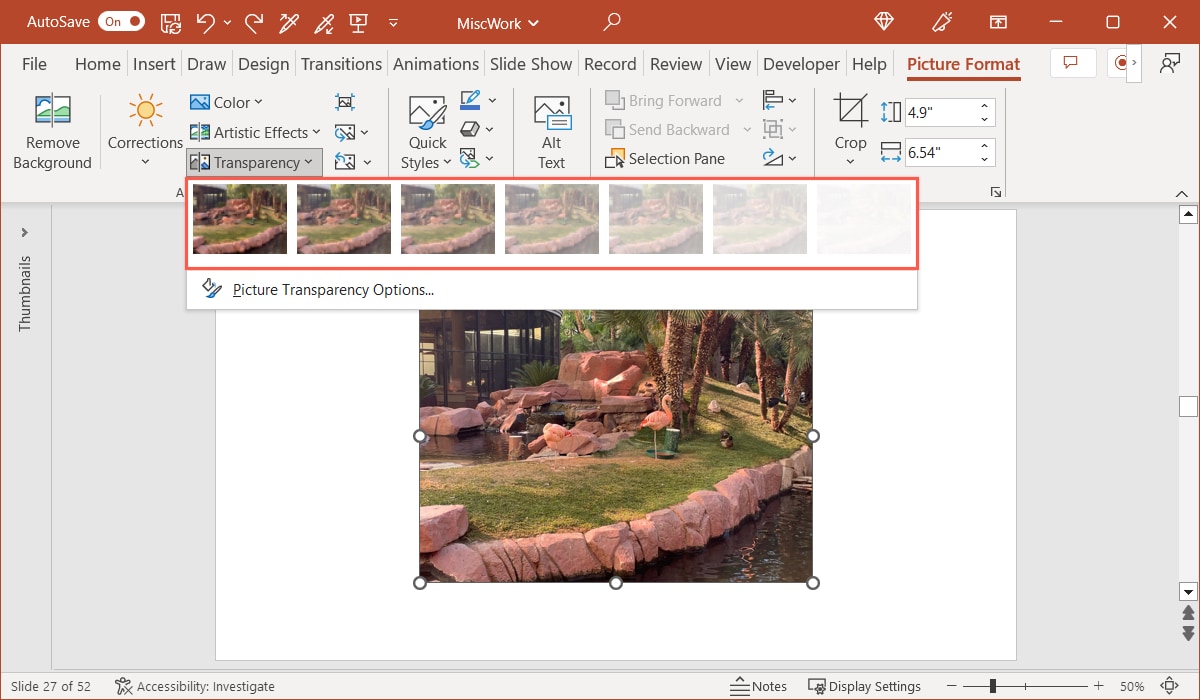 Transparency on the Picture Format tab