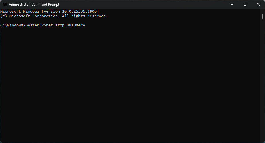 Typing commands in Command Prompt.