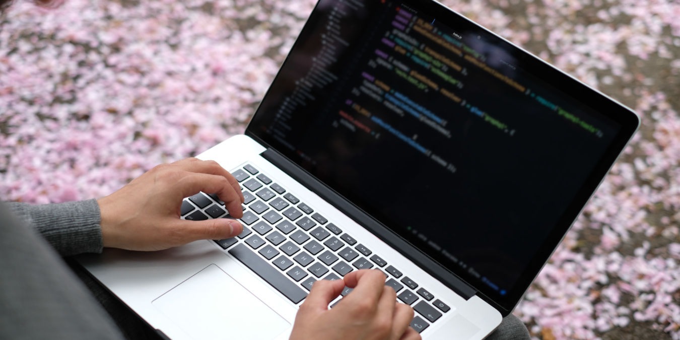 A photograph of a person programming using a laptop.