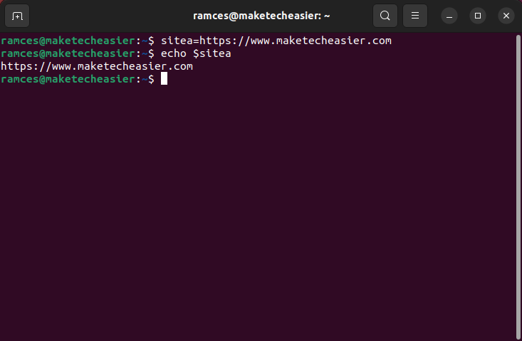 A terminal showing a basic variable assignment.