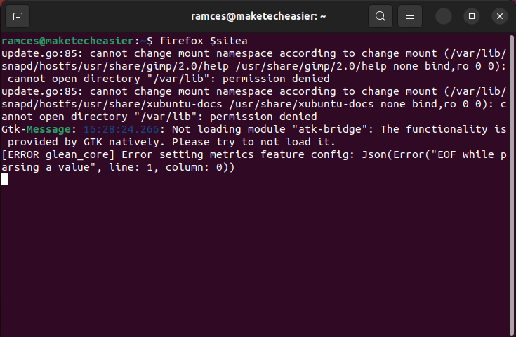 A terminal showing a variable as an argument for a program.