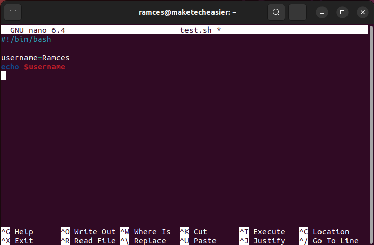A terminal showing a basic variable assignment script.