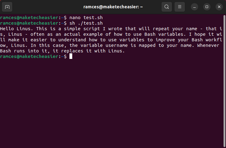 A terminal showing a basic script with multiple variable substitutions.