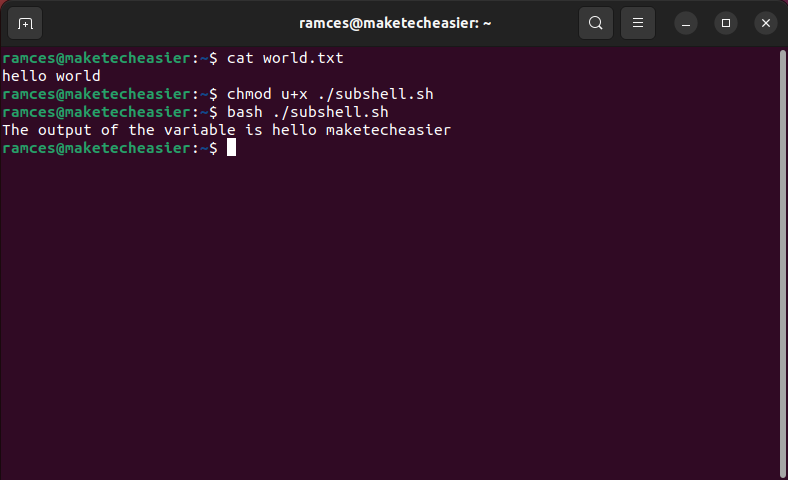 A terminal showing the output of the subshell script.
