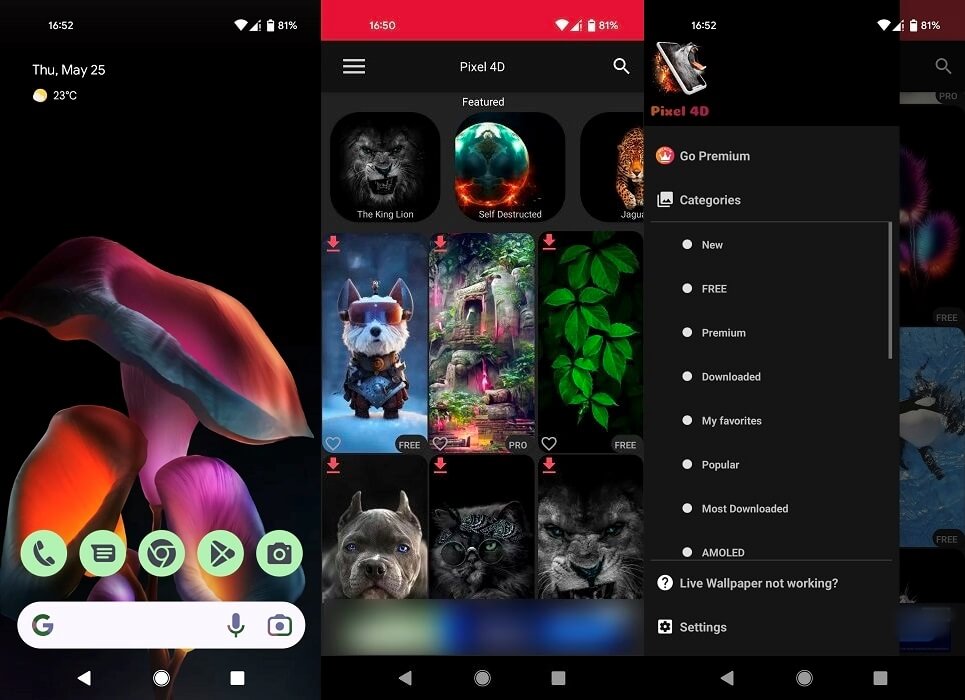 Pixel 4D Live Wallpaper app overview.