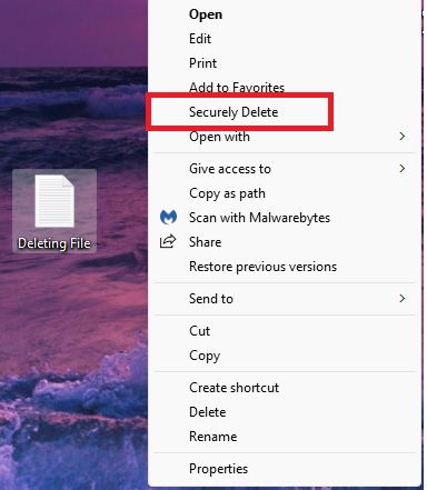 DeleteOnClick software overview. 