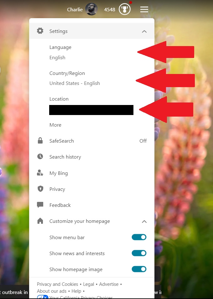 Bing Settings details