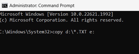 Copying files of the same extension via cmd.