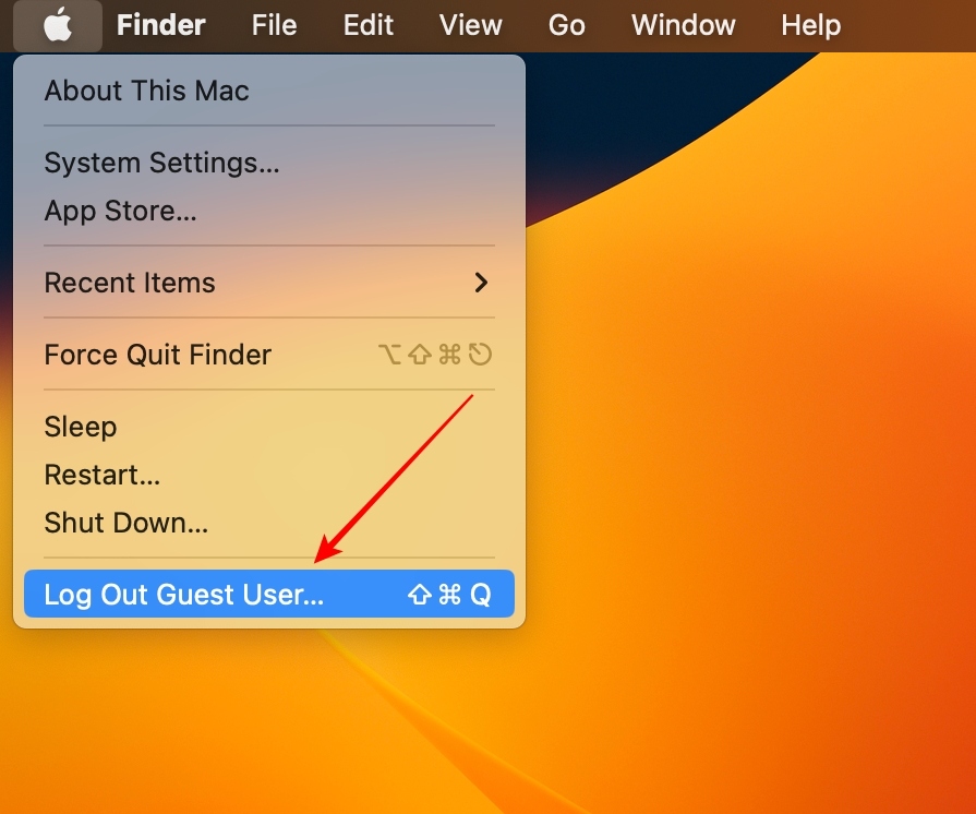 Log Out Of Guest Account Button