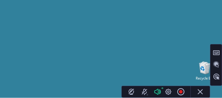 Movavi Screen Recorder Controls