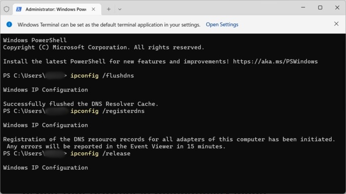 Flushing DNS in PowerShell.