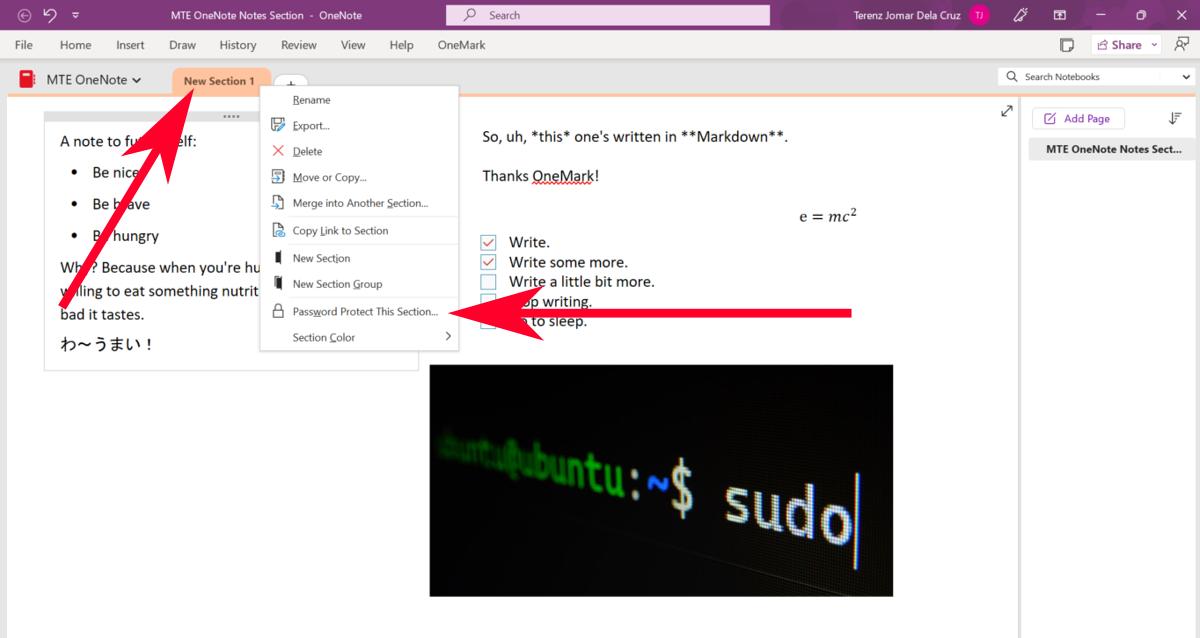 onenote-tips-password-protect Enabling password option for OneNote section.