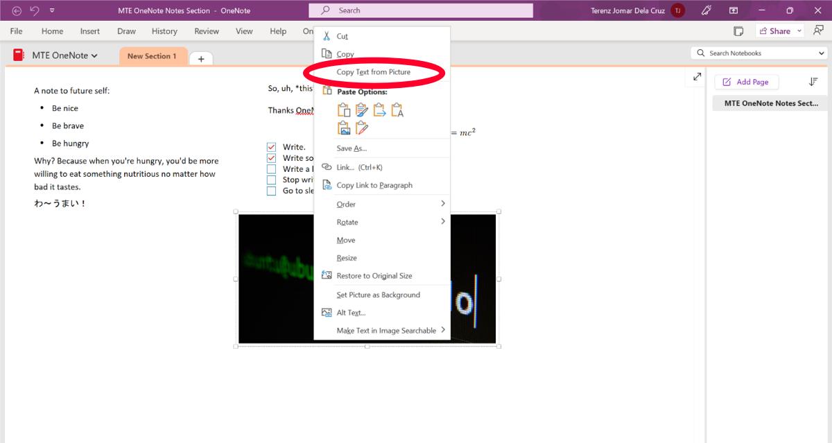 "Copy text from picture" option in OneNote.