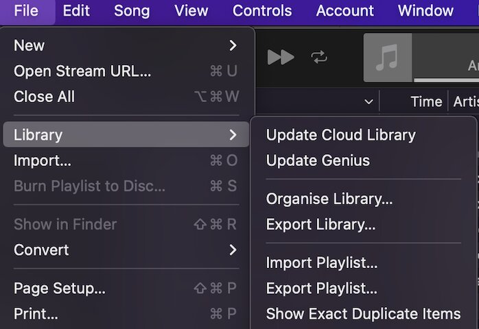 Show exact duplicate items