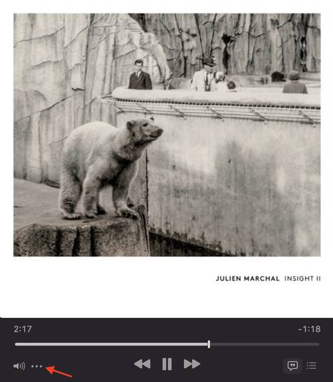 Apple Music Miniplayer