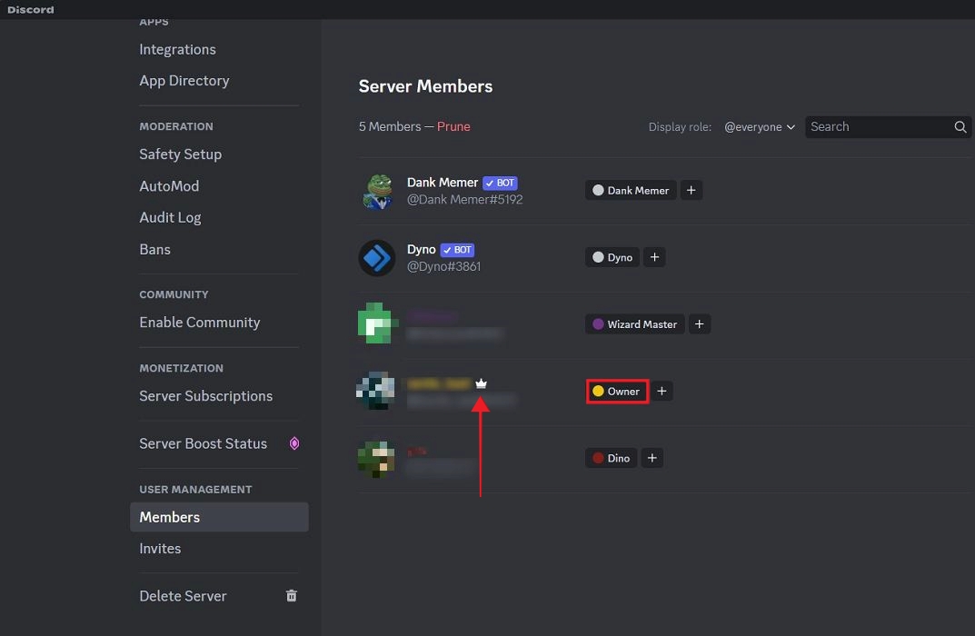 Crown symbol next to Discord user account that signals "Owner" status at a glance.
