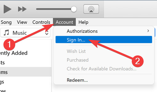 Signing in with Apple ID in iTunes.