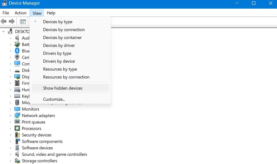 Show hidden devices option selected in Device Manager.