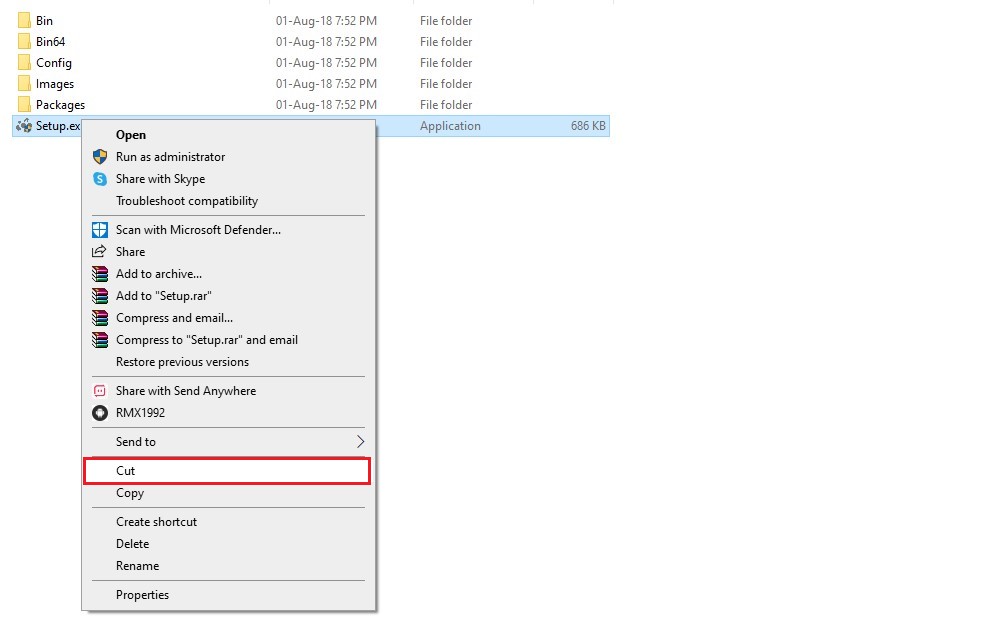 Copying a file via File Explorer.