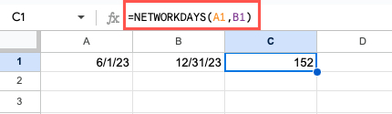 NETWORKDAYS function using cells