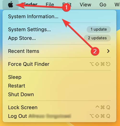 Opening System Information